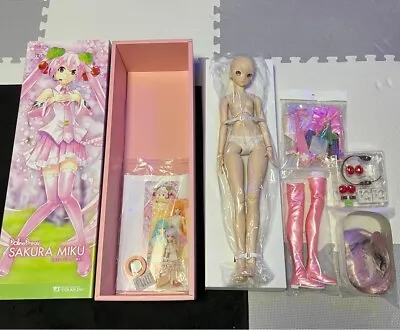 Volks Dollfie Dream DD Hatsune Sakura Miku Vocaloid Doll Figure From Japan • $2690