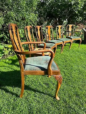 Set Of 6 Antique Burr Walnut Queen Anne Style  Dining Chairs • £240