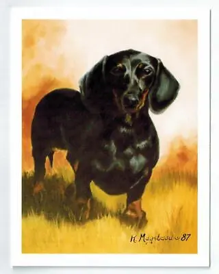 New Black Dachshund Standing Notecard Set - 6 Blank Note Cards By Ruth Maystead • $9.99