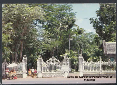 Mauritius Postcard - Botanical Garden Of Pamplemousses T7044 • £2.21