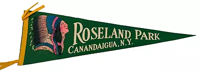 VTG Roseland Park Canandaigua N.Y. Pennant Flag Green Yellow 26 ! • $26.99