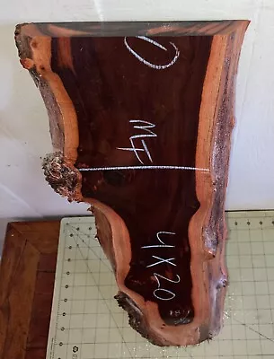 One Long Hawaiian Milo Wood Board~23 1/4  X 8  X 1  (#664) • $106