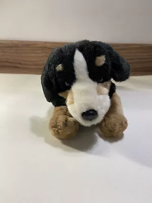 Named Keel Dog Benji Soft Toy • £2