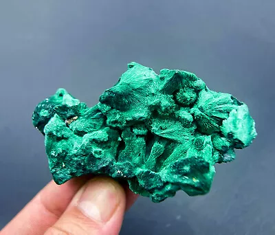 Natural Green Malachite Raw Velvet Malachite Raw Specimen Mineral Collection • $21.99