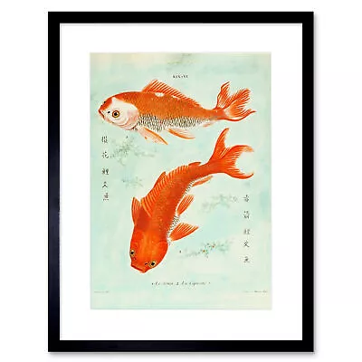 Fish Japanese Koi Art Print Framed Poster Wall Decor • £15.99
