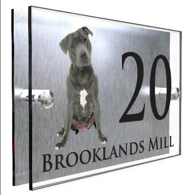 Acrylic Pet Door Sign Personalised Dog House Number Plaque Staffy Sitting • £9.99