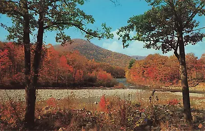 Postcard Charlemont: MA: Indian Campground Cold ~ Deerfield Rivers Mohawk Trail • $3.32