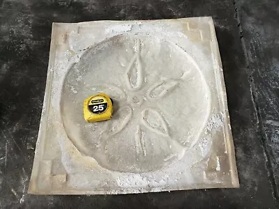 Concrete Stepping Stone Mold Sand Dollar • $36