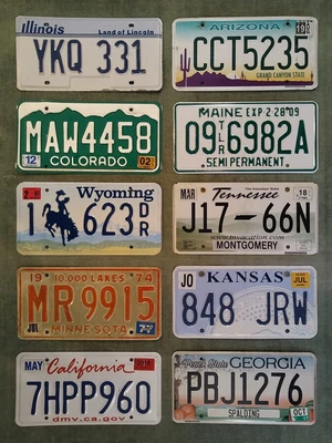 $19.99 • Buy Vintage License Plate LOT 10 Plates Craft 1977 MN Californa Georgia Wyoming CO