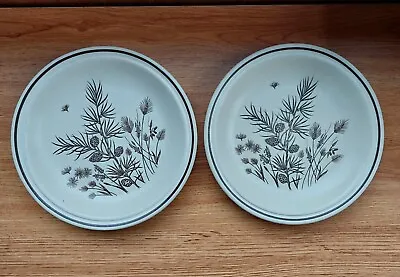 Pinewood By W.H. Grindley Plates Saucers Vintage Retro Dining Ware 17 Cm • £6.49