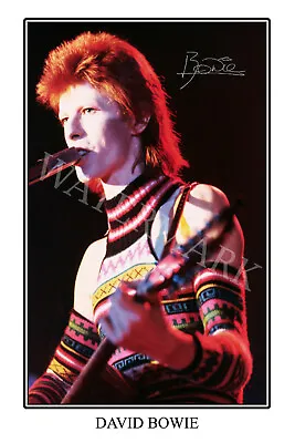 David Bowie Signed 12x18 Inch Photograph Poster- Top Quality • $28.95