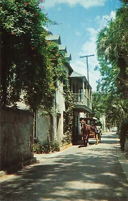 St Augustine Florida Romantic Aviles Street Horse Drawn Surrey Vintage Postcard • $6.39