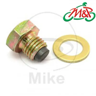 Kawasaki ZX-6R 600 G Ninja ZX600GG 1999 Magnetic Oil Drain Plug Bolt • £12.99