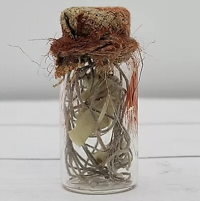MINIATURE Dollhouse Potion Bottle Scientist  Diorama Bones Halloween Decor Witch • $7.99