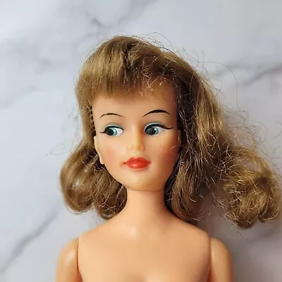 Vintage 1965 Tammy Family Glamour Misty Ideal Toys Miss Clairol Doll • $19.99