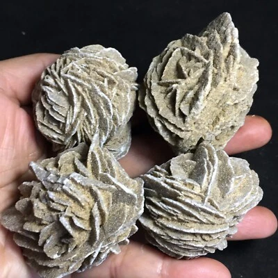 $17.99 • Buy 276g 4pcs Natural Desert Rose Stone Quartz Crystal Carved Specimen Ore Reiki 153
