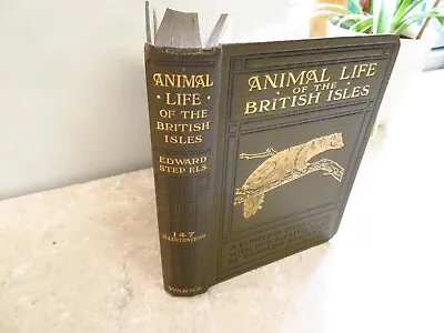 £48.99 • Buy 1921 Animal Life Of British Isles Step 111plts Reptiles Batrachians Reptiles Bat