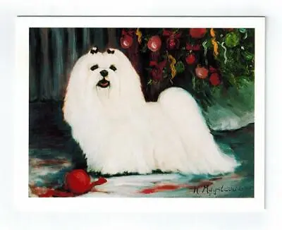 New Maltese Red Ball Holiday Greeting Card Set 12 Cards Artist Ruth Maystead • $14.99