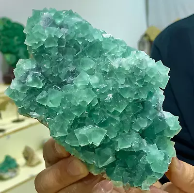 1.46LB Natural Green Fluorite Quartz Crystal Mineral Specimen • $406