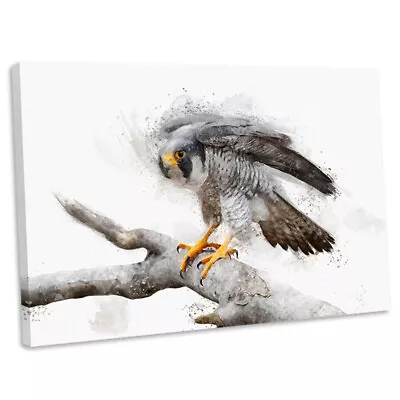 Peregrine Falcon Watercolour Style Canvas Print Framed Wall Art Picture • £17.99