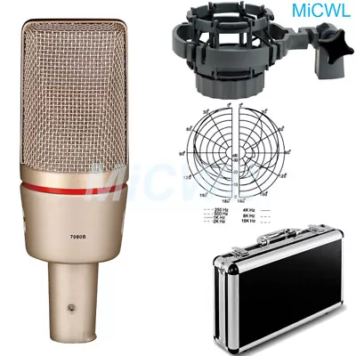 C7000 Condenser Microphone With Flight Case Shock Mount • $159.80