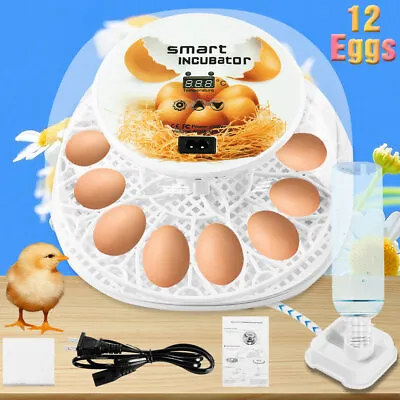 Egg Incubator Automatic Chicken Quail Chick Hatcher Incubators For Hatching Eggs • $38.88