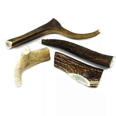 £8.09 • Buy Wild Deer Antler 100% Natural Long Lasting Chews For Dogs Medium Large XL XXL