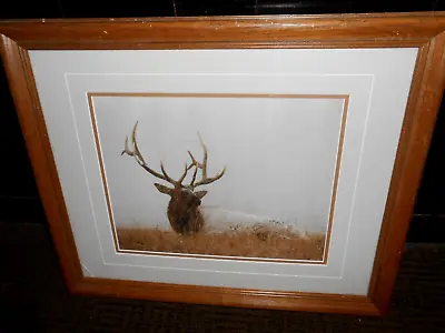 Thomas D. Mangelsen  Elk In Snowfall  Signed And Numbered Photograph. • $160