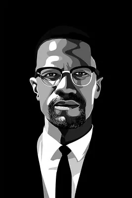 Malcolm X Activist Political Representative Wall Art Home Decor - POSTER 20x30 • $23.99