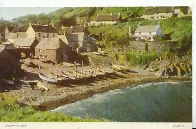 Cornwall Postcard - Cadgwith Cove - Ref TZ10670 • £2.10