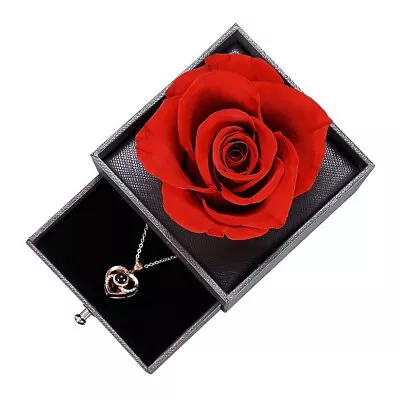 Preserved Eternal Rose With I Love You 100 Languages Necklace Gift For Her A Red • $13.79