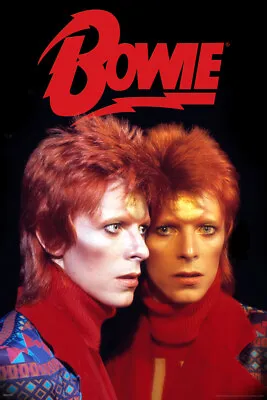$10.98 • Buy David Bowie Ziggy Stardust Radio City 1973 Concert Tour Music Poster 12x18