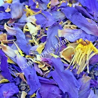 $13.27 • Buy 1 Oz Organic Blue Lotus, N. Caerulea, Deep Purple Thai™ ~ Schmerbals Herbals