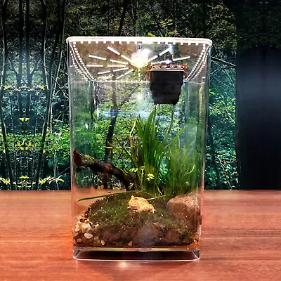 Acrylic Reptile Terrarium Gecko Lizard Snake Spider Vivarium Cage Tank US • $31.35