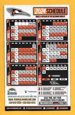 2024 Delmarva Shorebirds Baseball Magnet Schedule (Carolina League) • $2.99