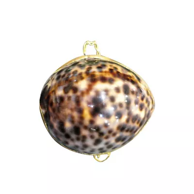  Girl Sea Decor Mariposas Decorativas Para Pared Jewelry Stand • $7.76