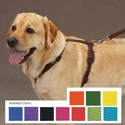 Nylon Dog Harness Pet 11 Colors 4 Sizes Adjustable Easy To Use Zack & Zoey Pet • $12.99