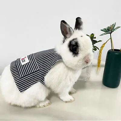 Rabbit Clothes No Pilling Easily On Off Bunny Guinea Pig Outdoor Clothes • $9.85