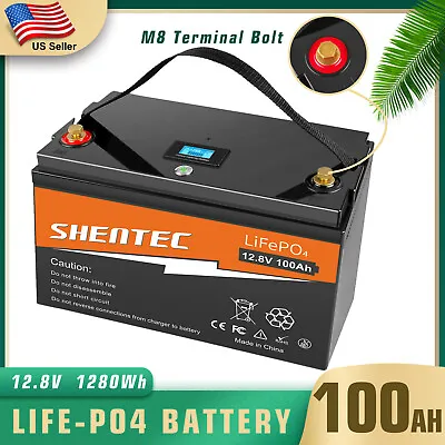 LiFePO4 12V 100Ah Deep Cycle Lithium Battery  For RV Marine Solar Off-Grid Boat • $1299.95