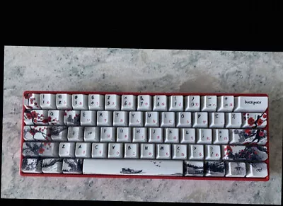 Custom Mechanical Keyboard Hand Lubed Fully Custom (enthusiast Grade) • $110