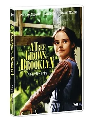 A Tree Grows In Brooklyn (1945 Elia Kazan) DVD NEW • $14