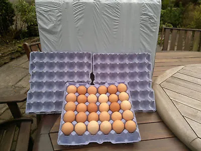 Egg Trays Blue 100 Trays (holds 30 Eggs) Suitable For Chicken Medium/large Eggs  • £26.30