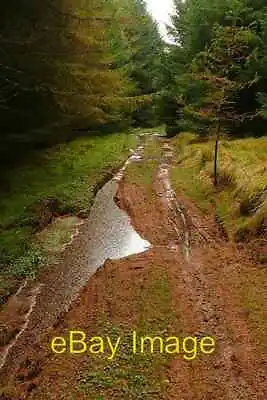 £2 • Buy Photo 6x4 Footpath In The Forest Treherbert The Footpath Is Passable, But C2008