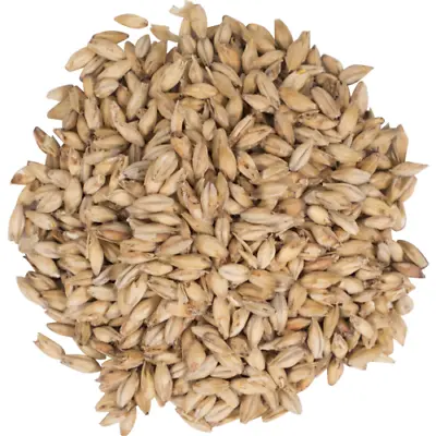 50 Lb - Pale Ale Malt - Briess Malting - Homebrew Beer Base Grain - (3.5°L) • $114