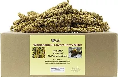 Birds LOVE Wholesome & Lovely Spray Millet - Natural Treat For Birds - 5/25 Lbs • $59.88
