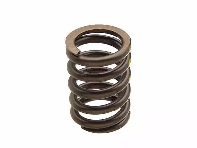 Valve Spring For 2013-2015 2017-2019 VW Beetle 2014 2018 N291QH Intake • $22