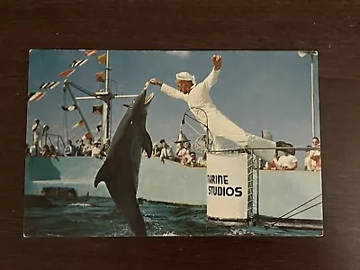 Marineland Florida - Sailor Feeding Jumping Porpoise At Marine Studios Postcard • $3.19