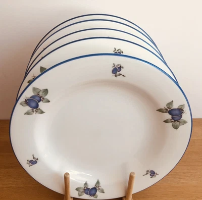 £40 • Buy Royal Doulton Everyday Blueberry FIVE (5) 27 Cm 10 1/2  Dinner Plates Excellent