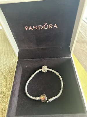 Pandora Bracelet • £19