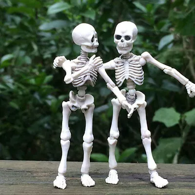 Halloween Human Skeleton Poseable Movable Skull Mini Figure Toy Party Prop Decor • $9.57